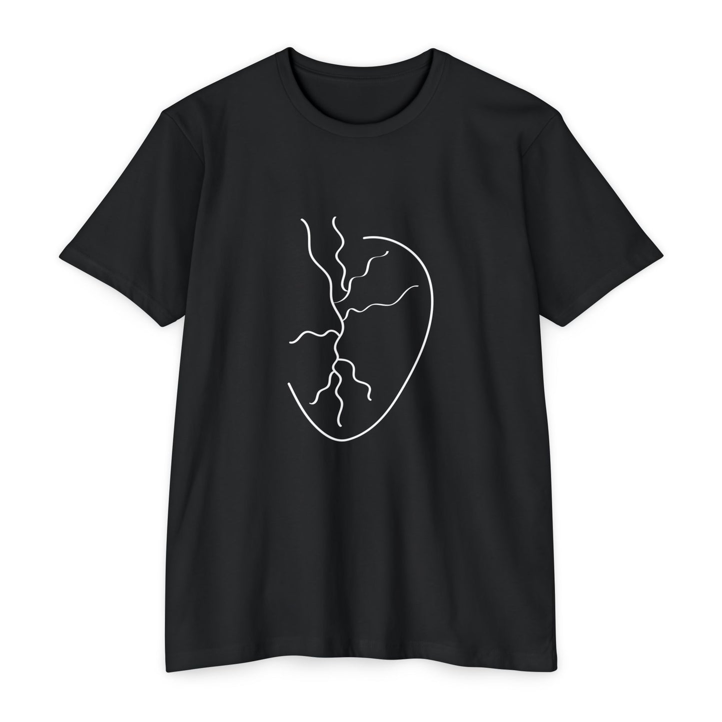 Kase Unisex CVC Jersey T-shirt