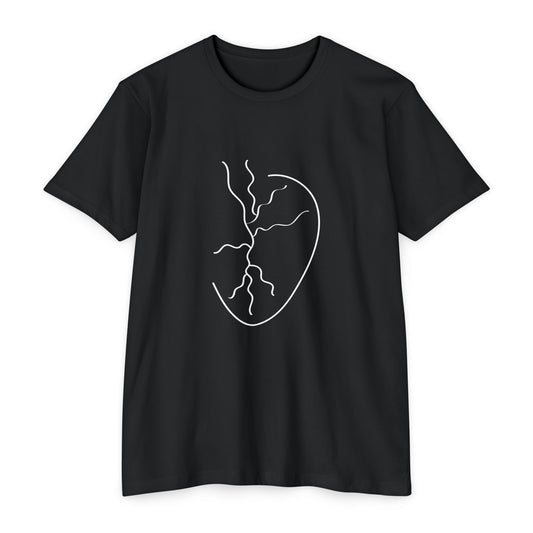Kase Unisex CVC Jersey T-shirt